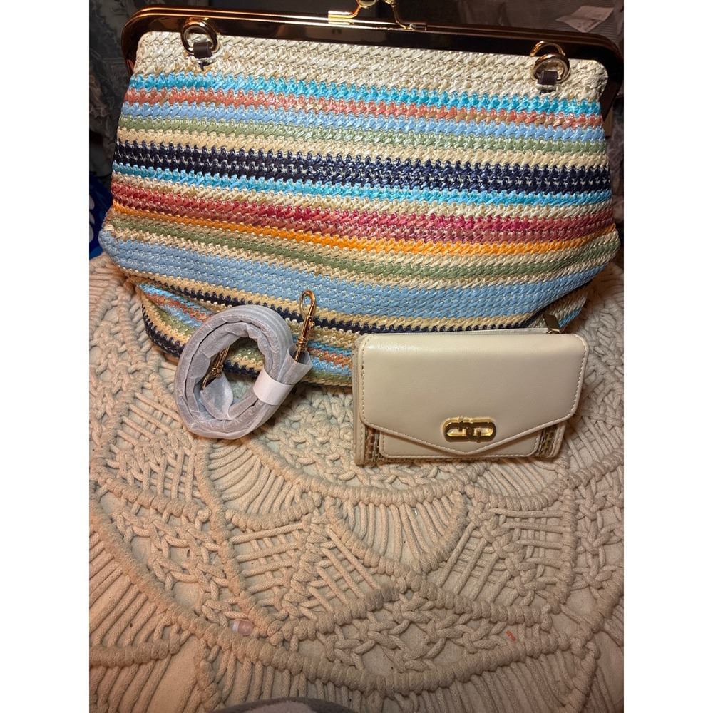 Multi Color Striped Straw Frame Bag and Wallet Set Gold Hardware Crossbody